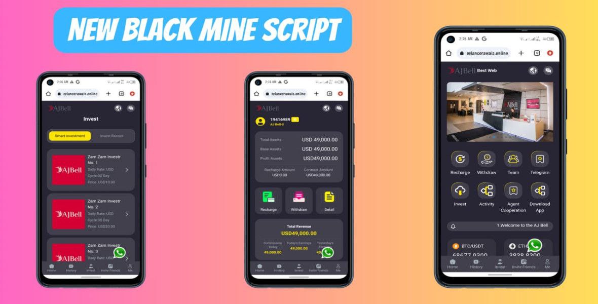 New HYIP Mini Script Investment PHP Script 🚀💻